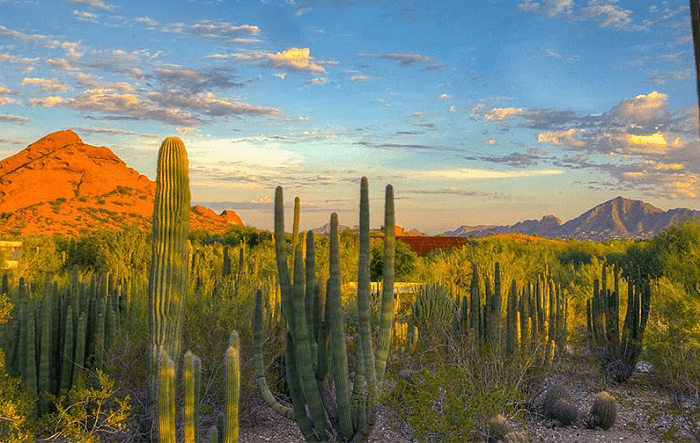 The Best 5 Things to Do In Phoenix, Arizona | DestinationMundo.com